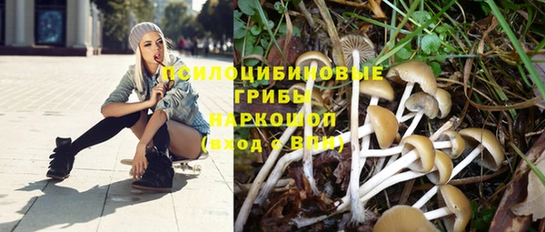 СК Дмитров