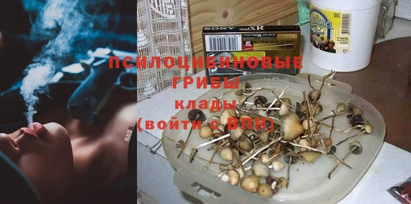 тгк Дмитровск