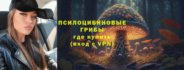 СК Дмитров