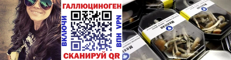 Галлюциногенные грибы MAGIC MUSHROOMS Армавир